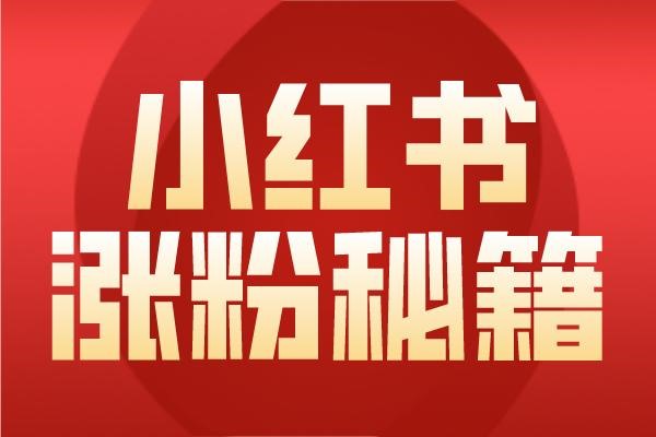 一加ace2小红书：可以分身吗？